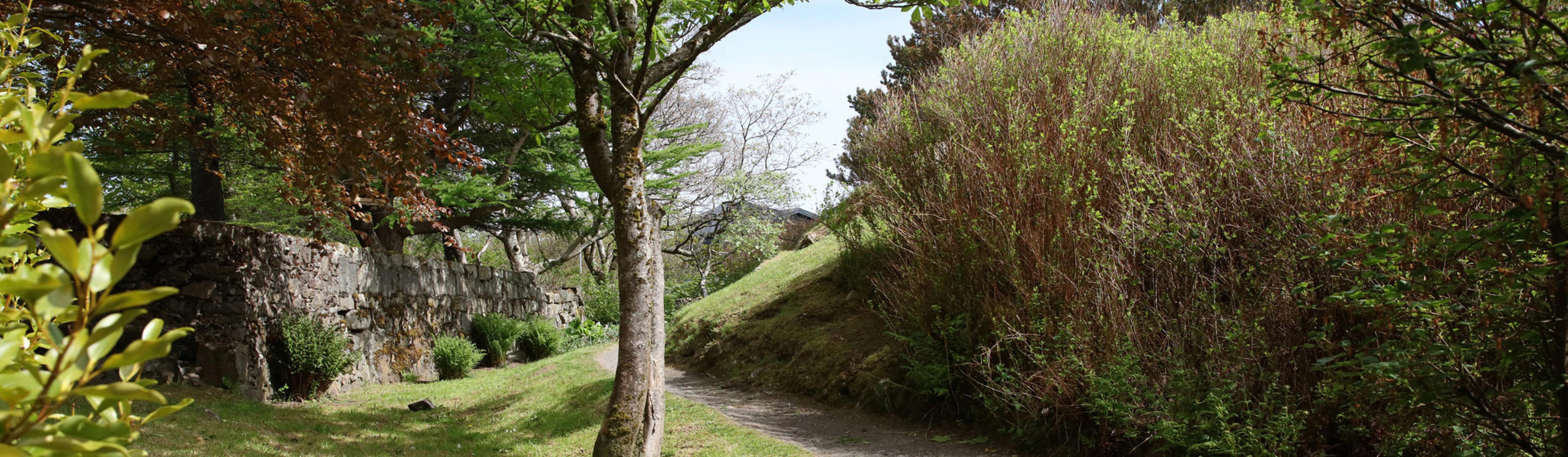 A serene pathway lined with greenery and trees, leading past a stone wall and lush bushes.
